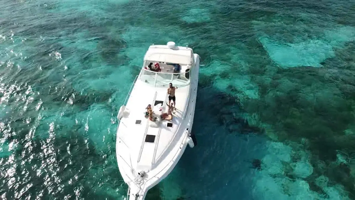 Sea Ray 46 | Yacht – photo 1
