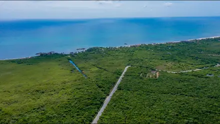 TULUM OCEAN LIVING