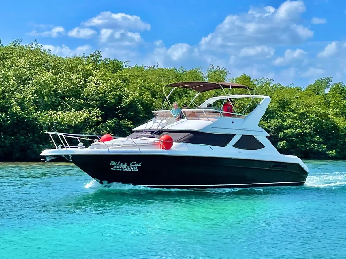 Sea Ray 46 | Yacht – photo 1