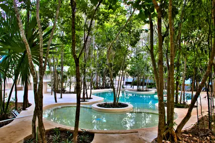HEART OF THE JUNGLE